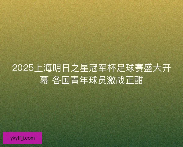 2025上海明日之星冠军杯足球赛盛大开幕 各国青年球员激战正酣